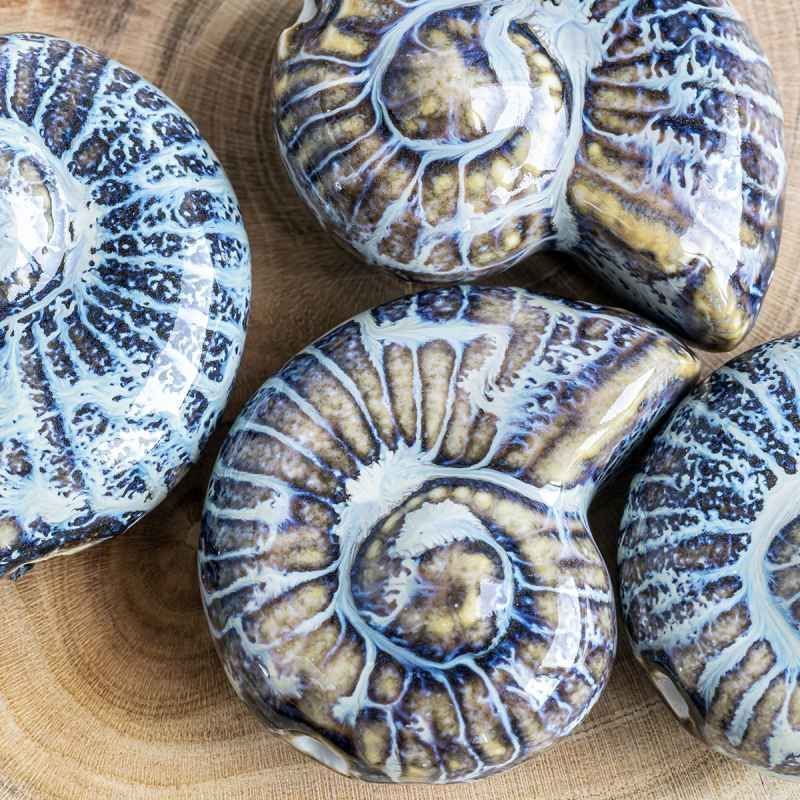 бусина, керамика "наутилус", цвет голубой/коричневый, 39x30x16.5 мм