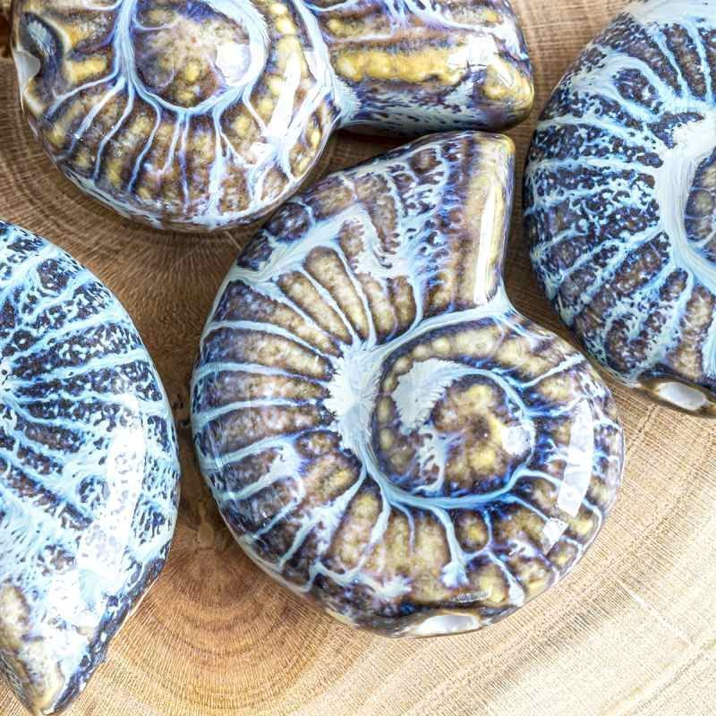 бусина, керамика "наутилус", цвет голубой/коричневый, 39x30x16.5 мм