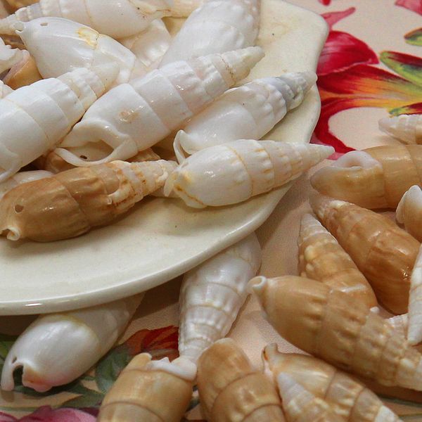 бусина из ракушки, "спайк", природные тона, размерный микс