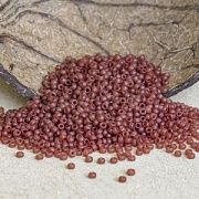 Бисер японский MIYUKI Round Rocailles 11/0 RR-372 (уп 5 г)