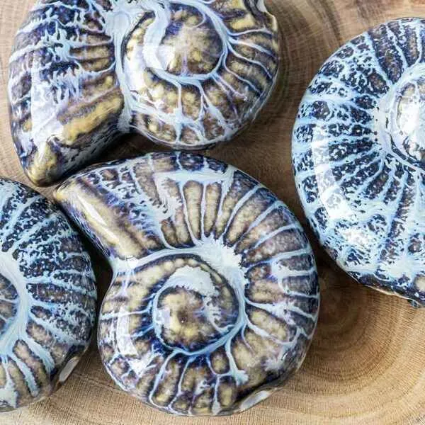 бусина, керамика "наутилус", цвет голубой/коричневый, 39x30x16.5 мм