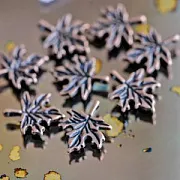 Подвеска металлическая "Кленовый листик", цвет красная медь, 17х14 мм