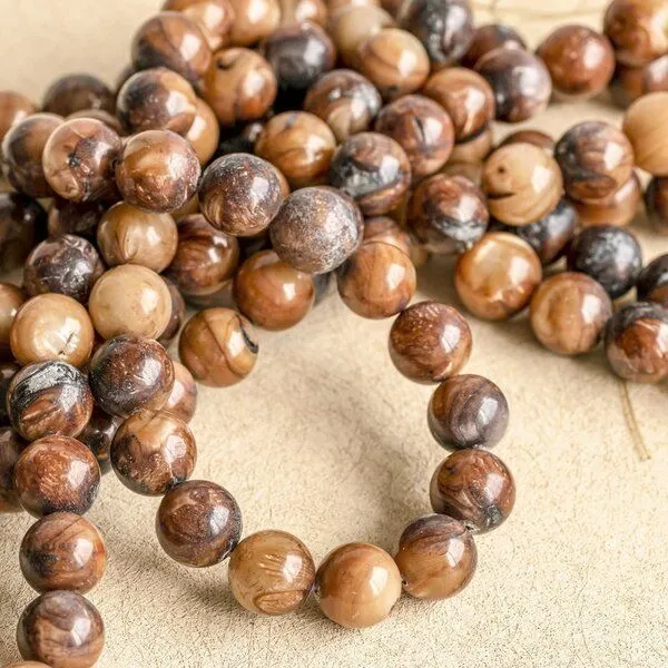 бусина из ракушки, "сишелл", цвет какао, 10 мм